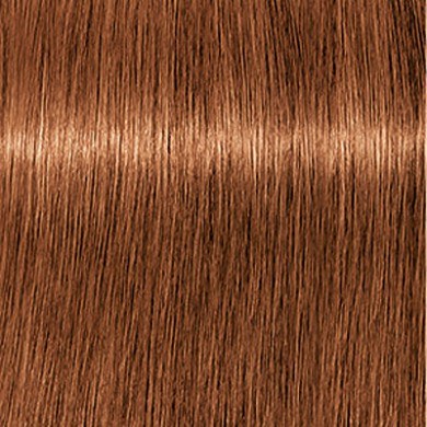 Schwarzkopf Igora Royal Absolute 7-50 - Medium Blonde Gold Natural Hair  Colour/Tint 60ml Tube by Ignora Royal