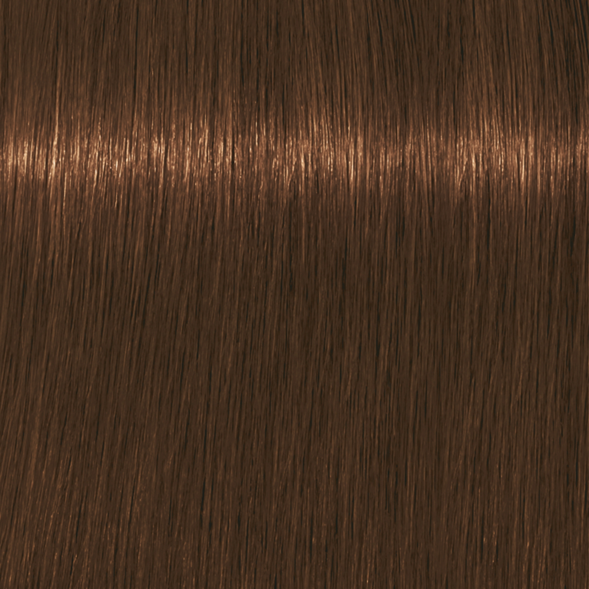 Schwarzkopf Igora Royal Absolute 7-60 - Tubo natural color rubio medio  chocolate para el cabello, 2.0 fl oz, tubo por Ignora Royal