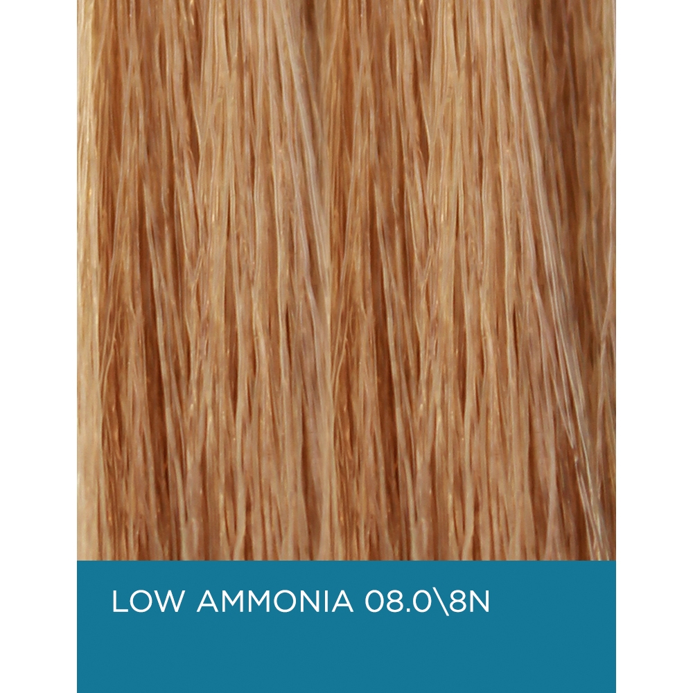 Eufora EuforaColor 8.0 / 8N - Light Natural Blonde - Low Ammonia