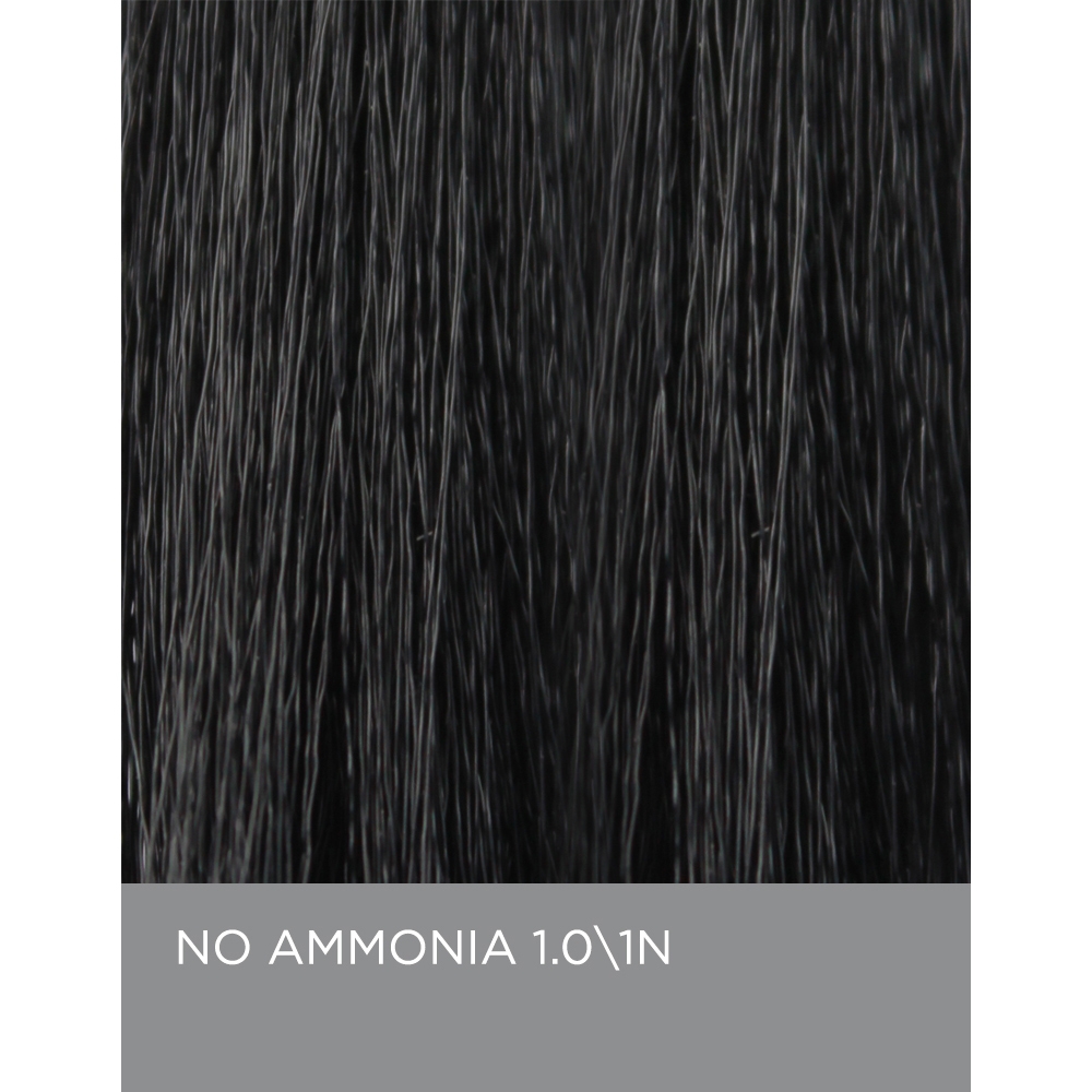 Eufora EuforaColor 1.0 / 1N - Black - No Ammonia