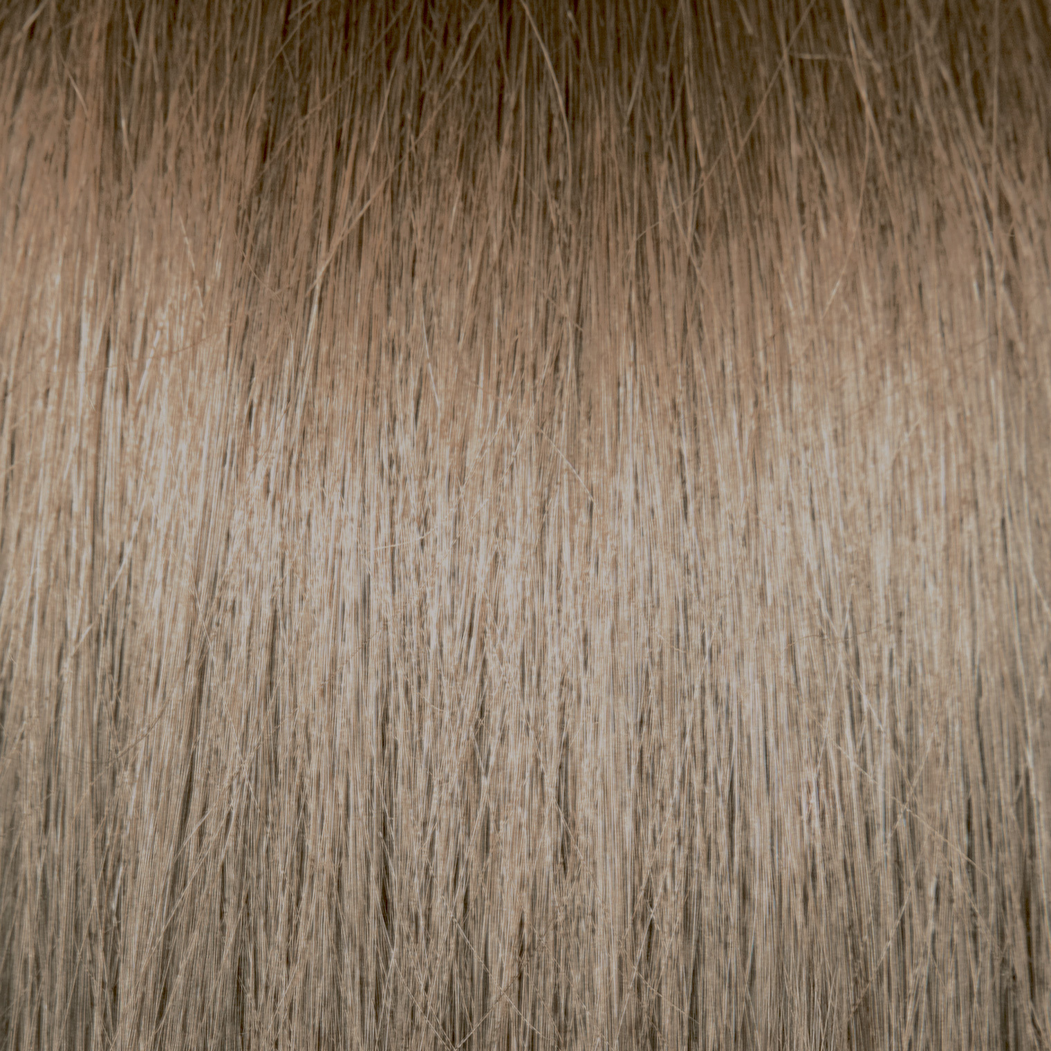 Pravana Chromasilk HydraGloss 8BV Light Beige Blonde