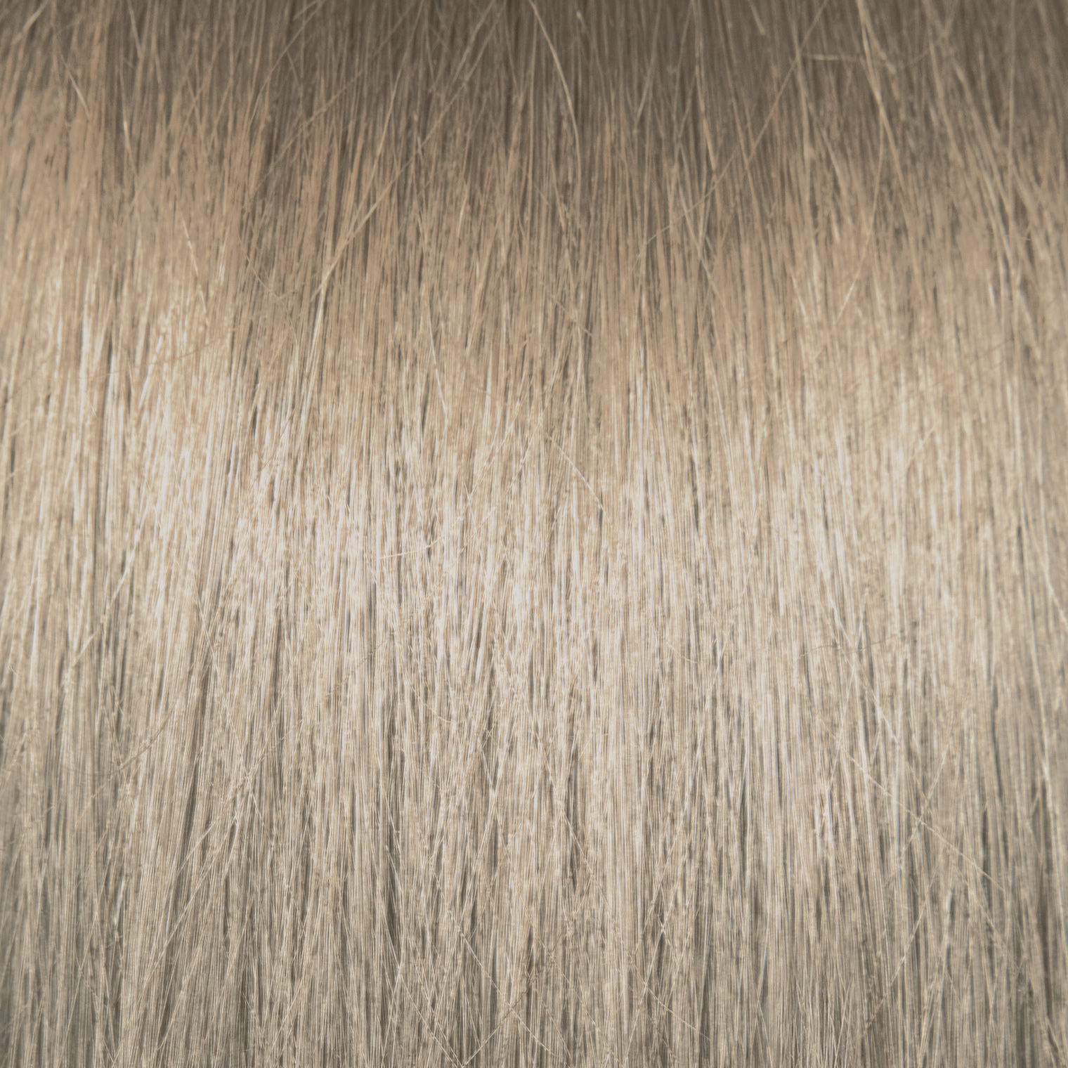 Pravana Chromasilk HydraGloss 8Nt Light Neutral Blonde
