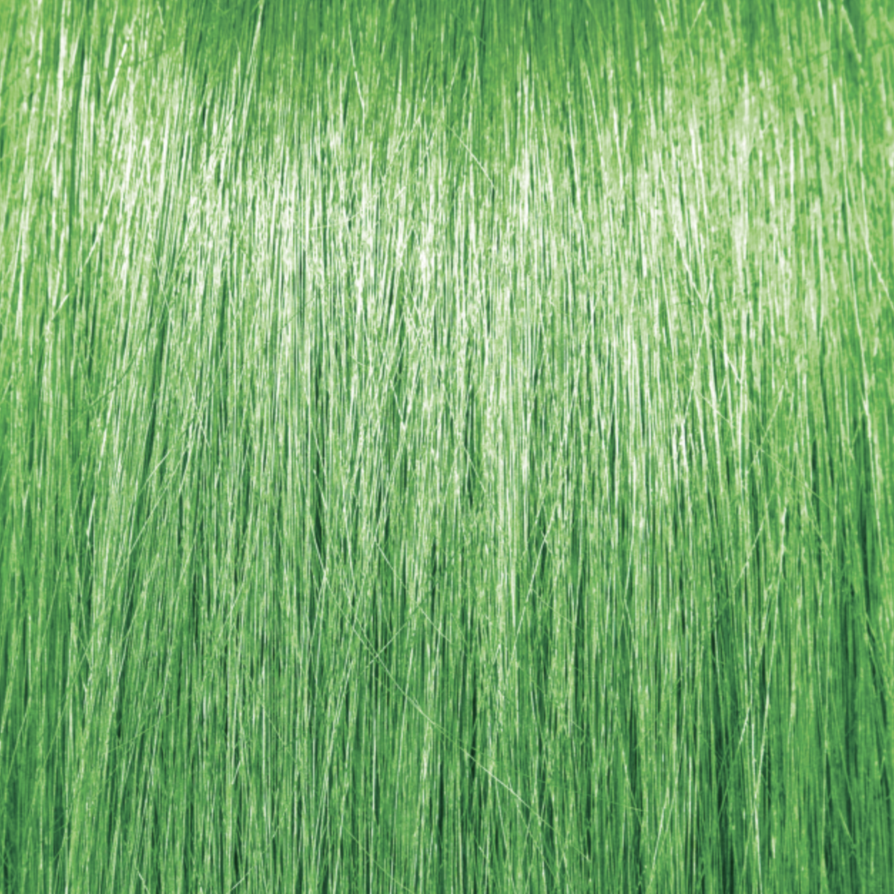 Pravana ChromaSilk Vivids Neon - Green