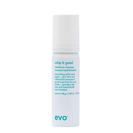 evo styling: whip it good moisture mousse