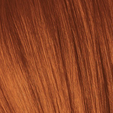 Schwarzkopf Distributor IGORA COLOR10®: 7-7 Blonde Copper - ml | Ethos Beauty Partners